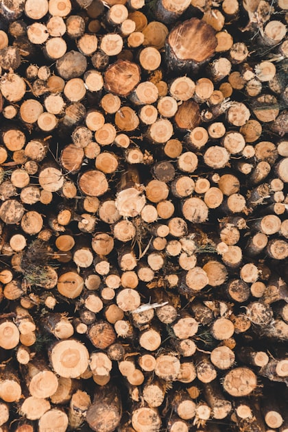 The Importance of Tree Thinning